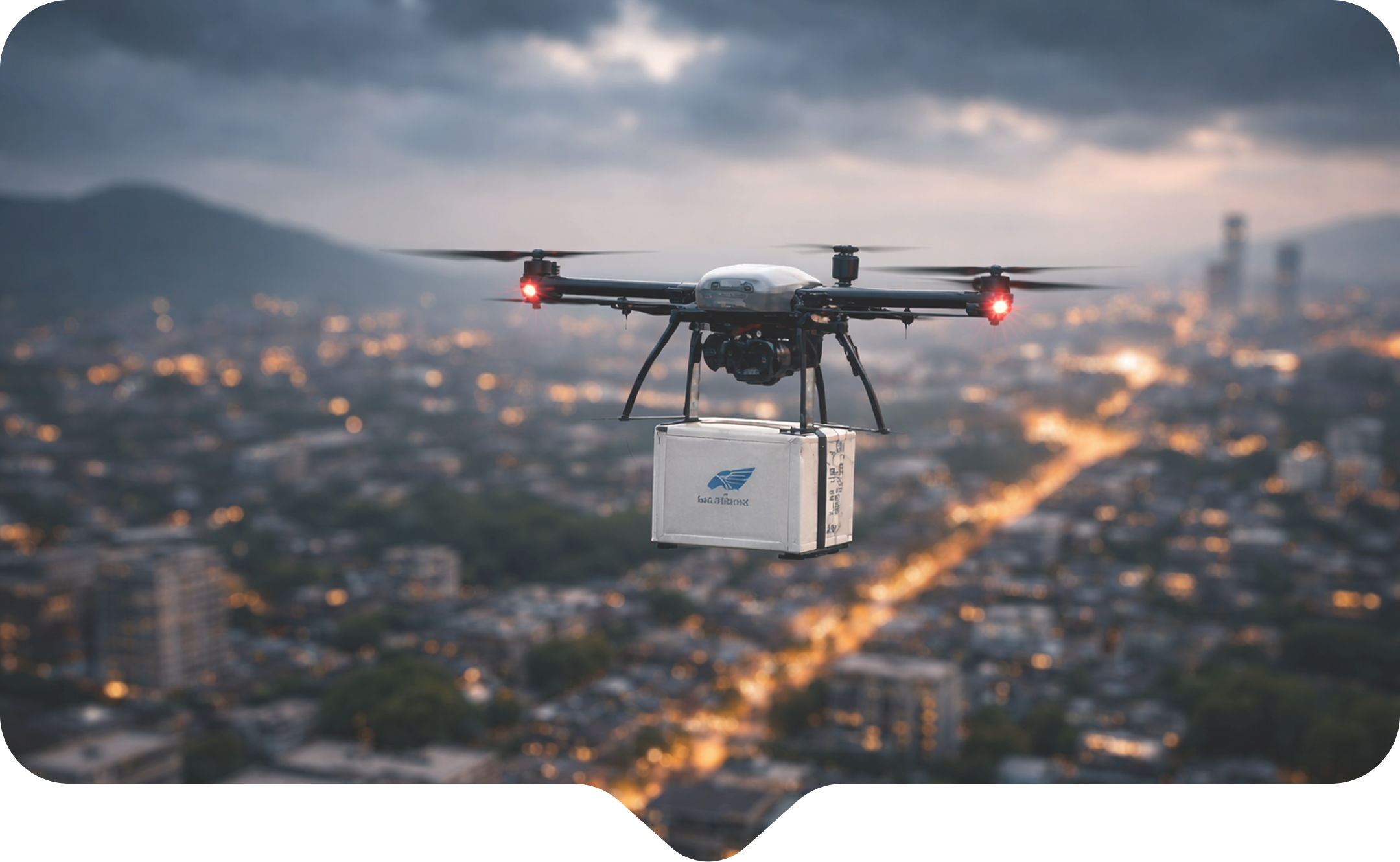 Logistics & Delivery Drones